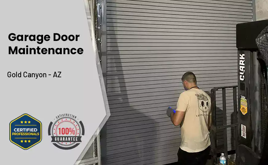 Garage Door Maintenance Gold Canyon - AZ 