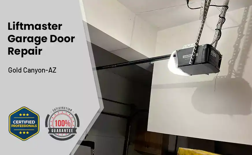 Liftmaster Garage Door Repair Gold Canyon-AZ 